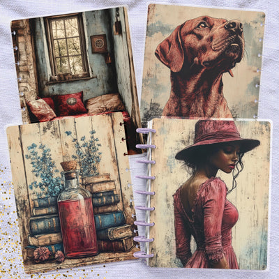 Old Red Dreams Disc Bound Cover, Classic Happy Planner Bundle, Laminated Cover Design, Planner Supply, Journal Accessory, Planner Gift Idea