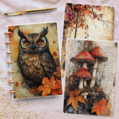 Spooky Fall Decor Disc Bound Cover, Mini Happy Planner, Laminated Printed Bundle, TUL Planner Accessory, Journal Supply Bundle, Gift for Her